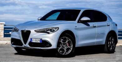 Descargar Manual ALFA ROMEO STELVIO 2020 de Usuario