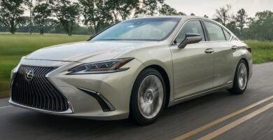 Descargar Manual LEXUS ES300h 2021