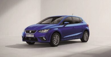 Descargar Manual SEAT IBIZA 2019 de Usuario PDF Gratis