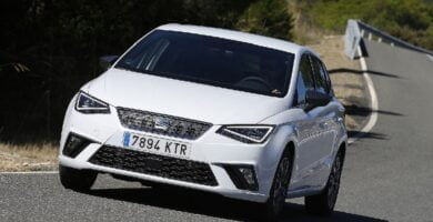 Descargar Manual SEAT IBIZA 2020 de Usuario PDF Gratis