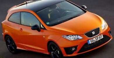 Descargar Manual SEAT IBIZA SC 2010 de Usuario PDF Gratis