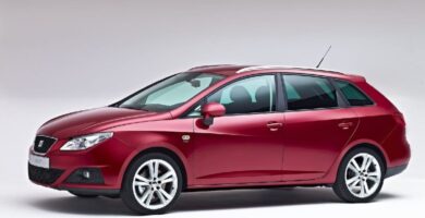 Descargar Manual SEAT IBIZA SC 2010 de Usuario PDF Gratis