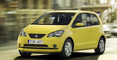 Descargar Manual SEAT MII 2014 de Usuario PDF Gratis