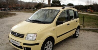 Descargar Manual FIAT PANDA 2005 PDF GRATIS 🏅 de Usuario