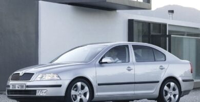 Descargar Manual SKODA OCTAVIA 2005 de Usuario PDF Gratis