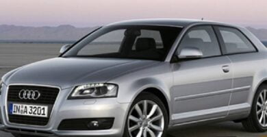 Descargar Manual AUDI A3 2009 PDF GRATIS 🏅 de Usuario