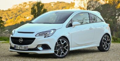 Descargar Manual OPEL CORSA D 2009 de Usuario PDF Gratis