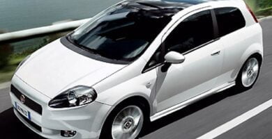 Descargar Manual FIAT GRANDE PUNTO 2009 PDF GRATIS 🏅 de Usuario