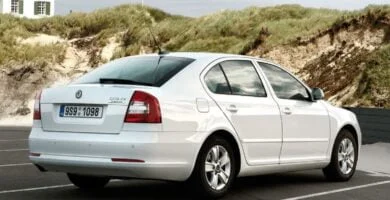 Descargar Manual SKODA OCTAVIA 2009 de Usuario PDF Gratis