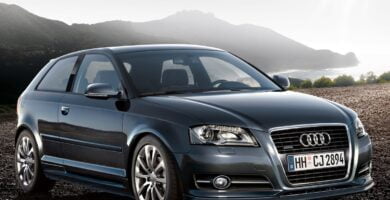 Descargar Manual AUDI A3 2010 PDF GRATIS 🏅 de Usuario