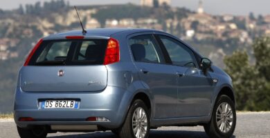 Descargar Manual FIAT GRANDE PUNTO 2010 PDF GRATIS 🏅 de Usuario