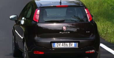 Descargar Manual FIAT PUNTO EVO 2010 PDF GRATIS 🏅 de Usuario