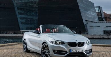 Descargar Manual BMW 2 Series Convertible 2015 de Usuario