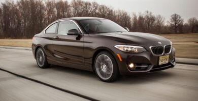 Descargar Manual BMW 228i Coupe 2015 de Usuario