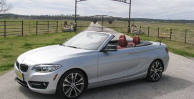 Descargar Manual BMW 228i xDrive Convertible 2015 de Usuario