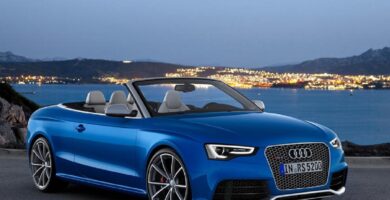 Descargar Manual AUDI RS5 CABRIOLET 2015 PDF GRATIS 🏅 de Usuario