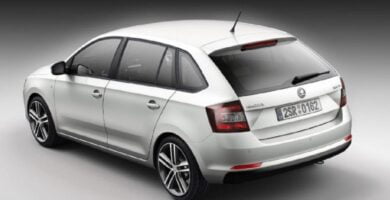 Descargar Manual SKODA RAPID SPACEBACK 2015 de Usuario PDF Gratis