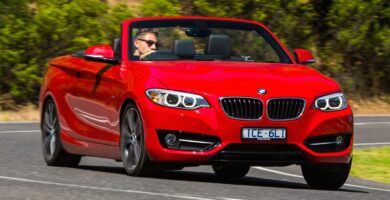 Descargar Manual BMW 2 Series Convertible 2016 de Usuario