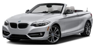 Descargar Manual BMW 228i xDrive Convertible 2016 de Usuario