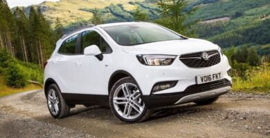 Descargar Manual OPEL MOKKA X 2016 de Usuario PDF Gratis