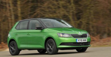 Descargar Manual SKODA FABIA 2016 de Usuario PDF Gratis