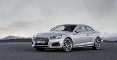 Descargar Manual AUDI A5 COUPE 2017 PDF GRATIS 🏅 de Usuario