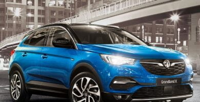 Descargar Manual OPEL GRANDLAND X 2017 de Usuario PDF Gratis