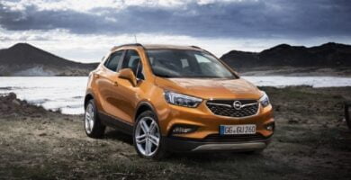 Descargar Manual OPEL MOKKA 2017 de Usuario PDF Gratis