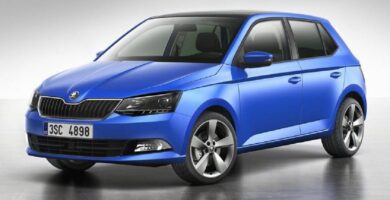 Descargar Manual SKODA FABIA 2017 de Usuario PDF Gratis