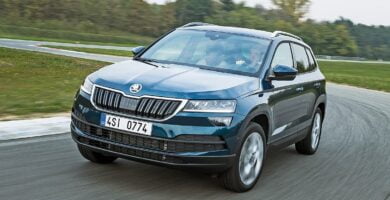 Descargar Manual SKODA KAROQ 2017 de Usuario PDF Gratis