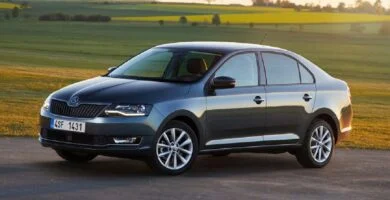 Descargar Manual SKODA RAPID 2017 de Usuario PDF Gratis