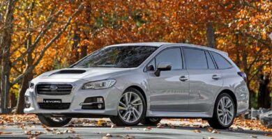 Descargar Manual SUBARU LEVORG 2017 de Usuario PDF Gratis