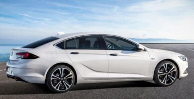 Descargar Manual OPEL INSIGNIA 2018 de Usuario PDF Gratis