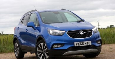 Descargar Manual OPEL MOKKA X 2018 de Usuario PDF Gratis