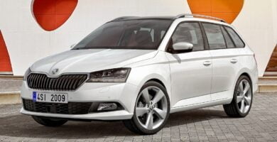 Descargar Manual SKODA FABIA 2018 de Usuario PDF Gratis