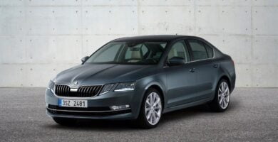 Descargar Manual SKODA OCTAVIA 2018 de Usuario PDF Gratis