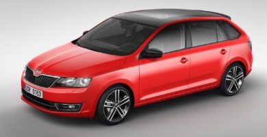 Descargar Manual SKODA RAPID SPACEBACK 2018 de Usuario PDF Gratis