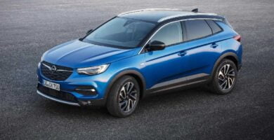 Descargar Manual OPEL GRANDLAND X 2019 de Usuario PDF Gratis