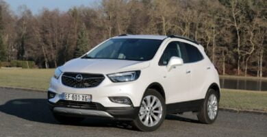 Descargar Manual OPEL MOKKA X 2019 de Usuario PDF Gratis