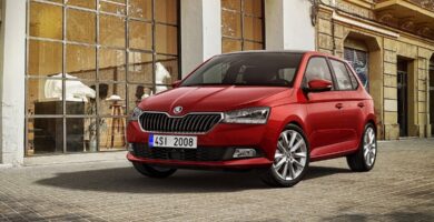 Descargar Manual SKODA FABIA 2019 de Usuario PDF Gratis