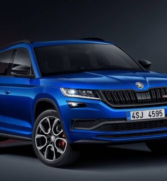 Descargar Manual SKODA KODIAQ 2019 de Usuario PDF Gratis