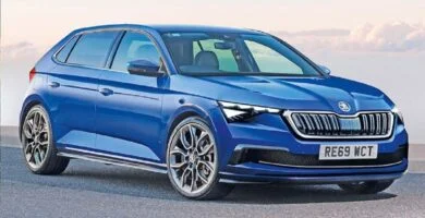 Descargar Manual SKODA RAPID SPACEBACK 2019 de Usuario PDF Gratis