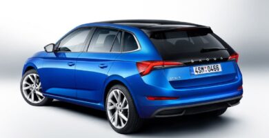 Descargar Manual SKODA SCALA 2019 de Usuario PDF Gratis