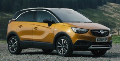 Descargar Manual OPEL CROSSLAND X 2020 de Usuario PDF Gratis