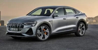 Descargar Manual AUDI E-TRON 2020 PDF GRATIS 🏅 de Usuario