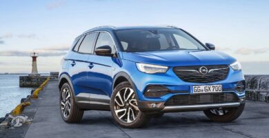 Descargar Manual OPEL GRANDLAND X 2020 de Usuario PDF Gratis