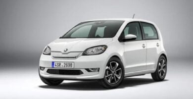 Descargar Manual SKODA CITIGO 2020 de Usuario PDF Gratis