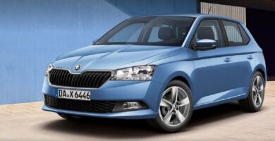 Descargar Manual SKODA FABIA 2020 de Usuario PDF Gratis