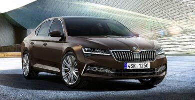 Descargar Manual SKODA SUPERB 2020 de Usuario PDF Gratis