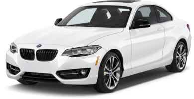 Descargar Manual BMW 2 Series COUPE 2015 de Usuario